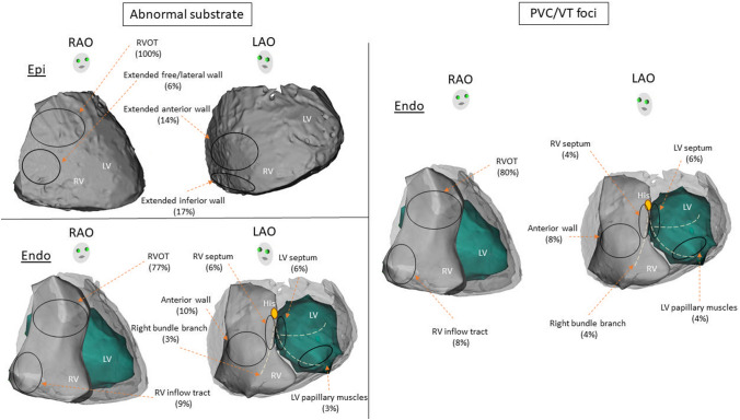 graphic file with name 392_2022_2020_Figa_HTML.jpg