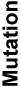 graphic file with name nihms117503t1.jpg