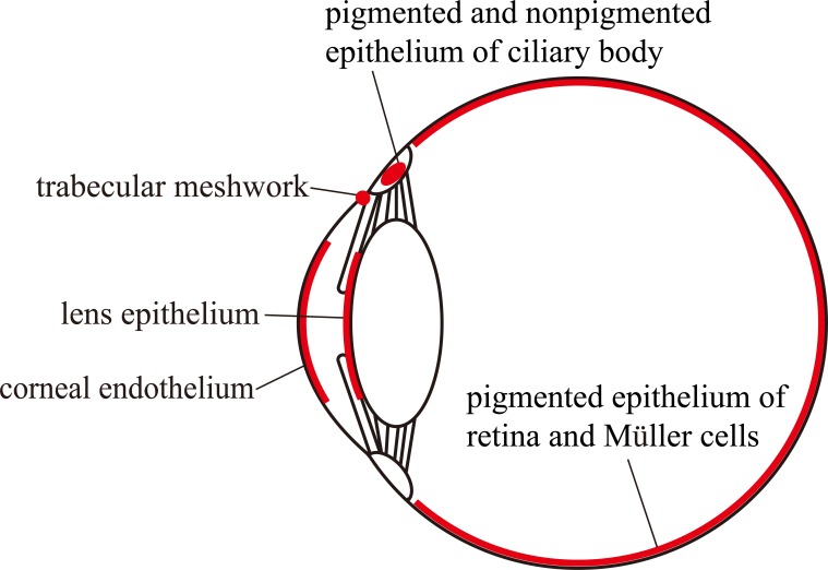 Fig. (2)