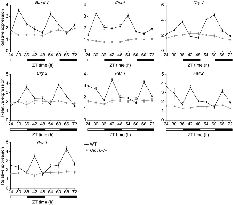 Figure 6