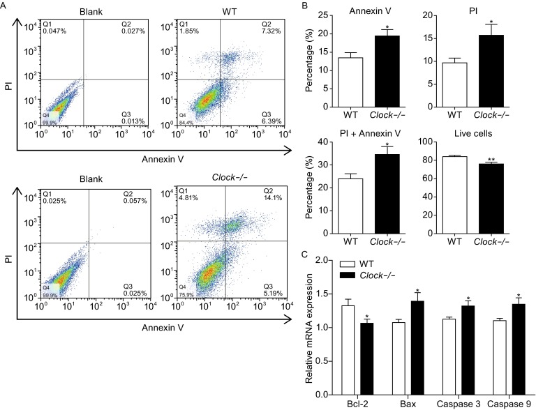 Figure 5