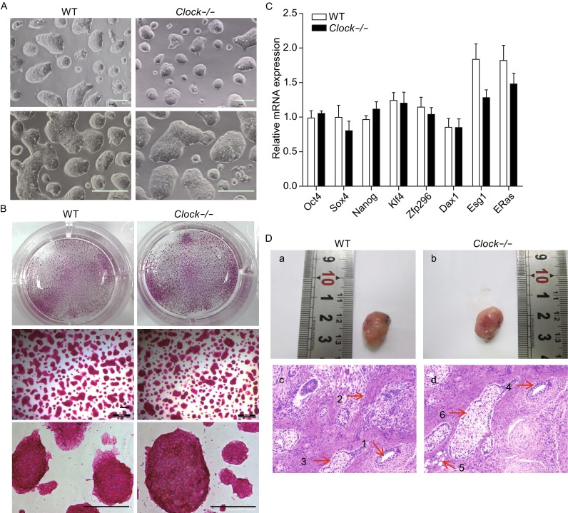 Figure 2