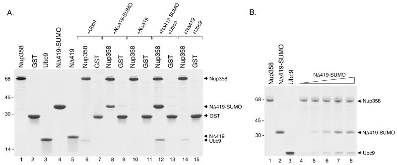 FIG. 8.