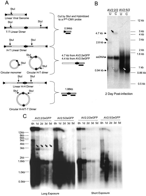 FIG. 5.