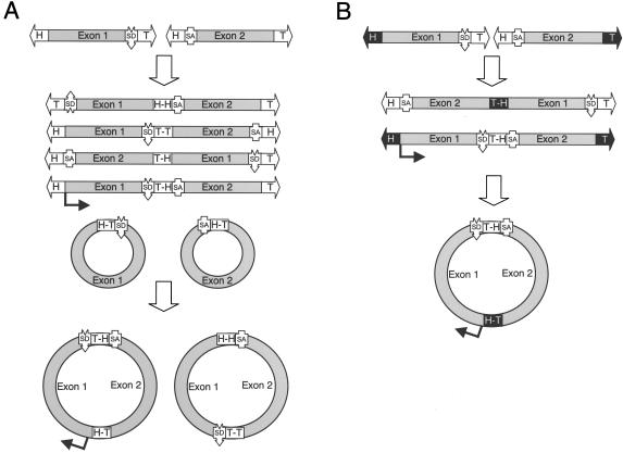 FIG. 7.