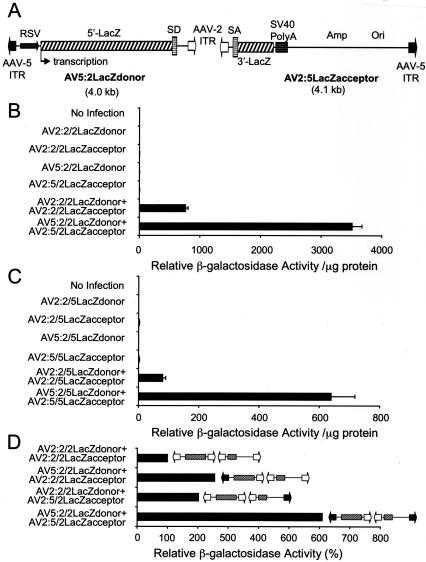 FIG. 6.