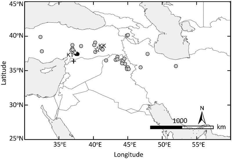 FIGURE 7