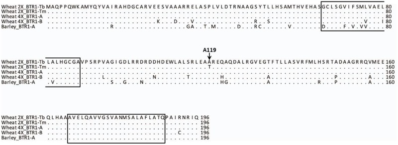 FIGURE 4