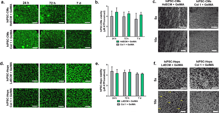 Figure 5: