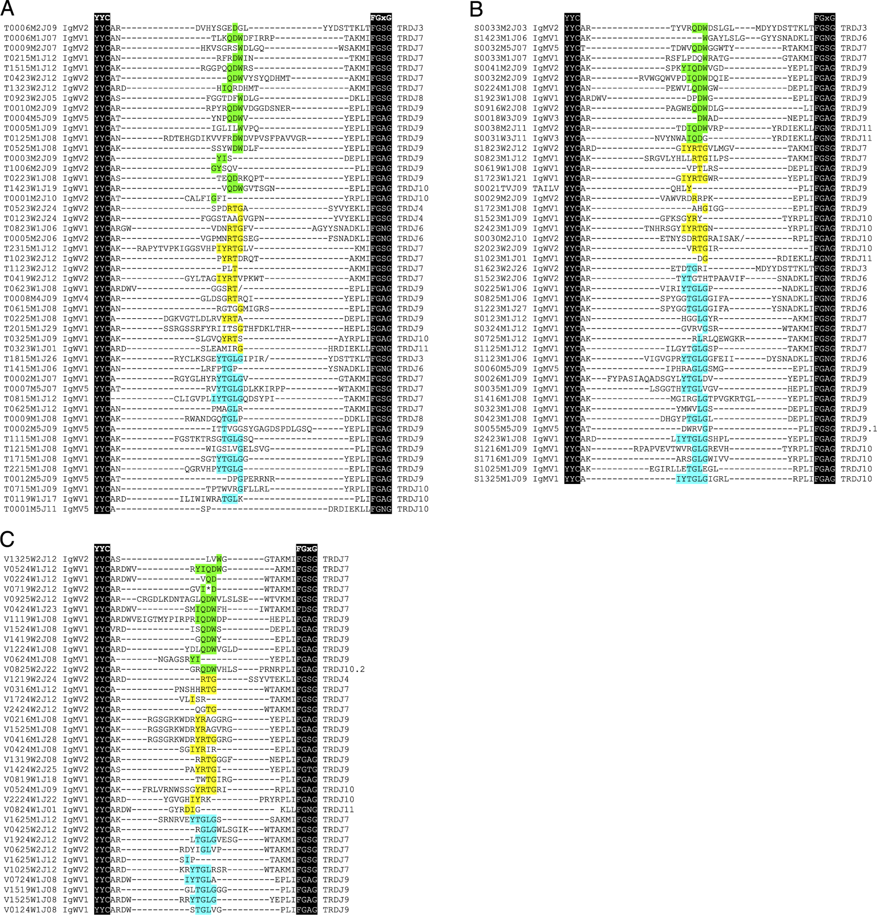 FIGURE 1.