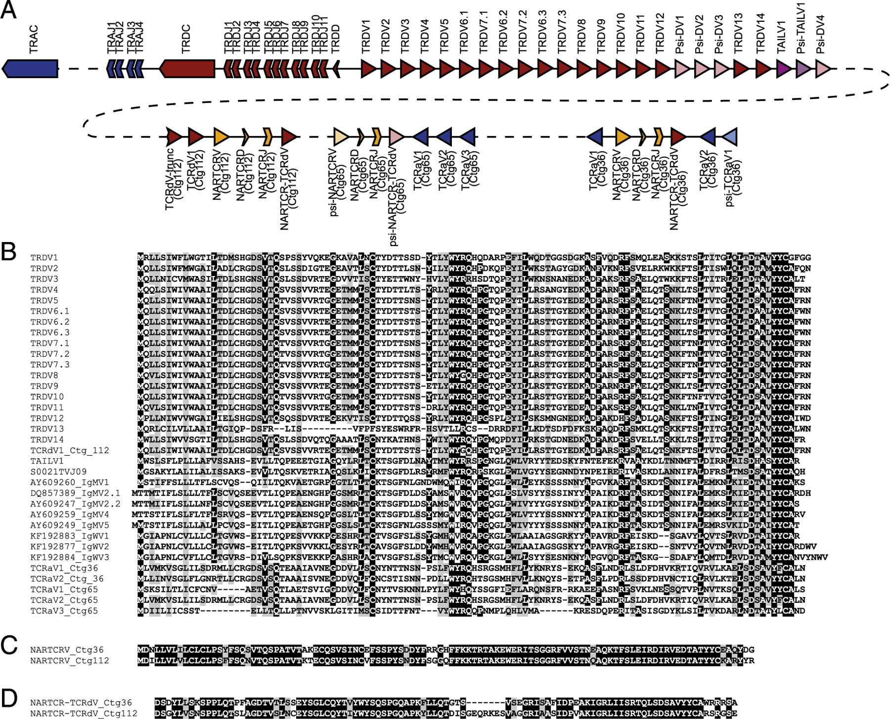 FIGURE 4.