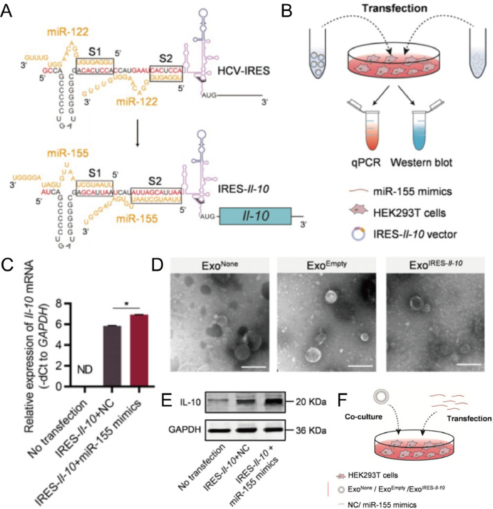 Fig 8