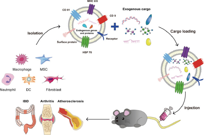 Image, graphical abstract