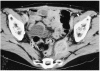 Fig. 8