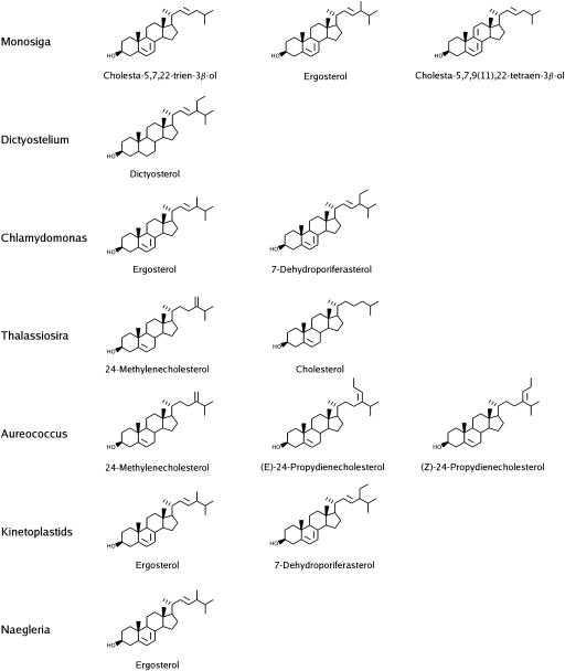 FIG. 2.—