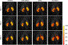 Fig. 4.