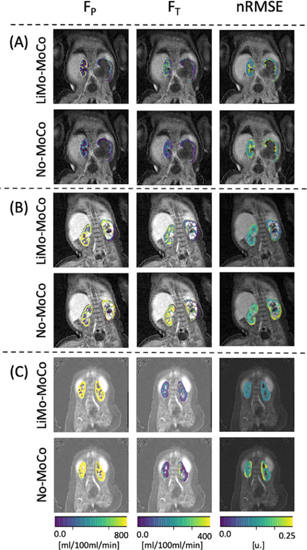 Fig. 10.