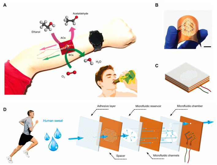 FIGURE 4