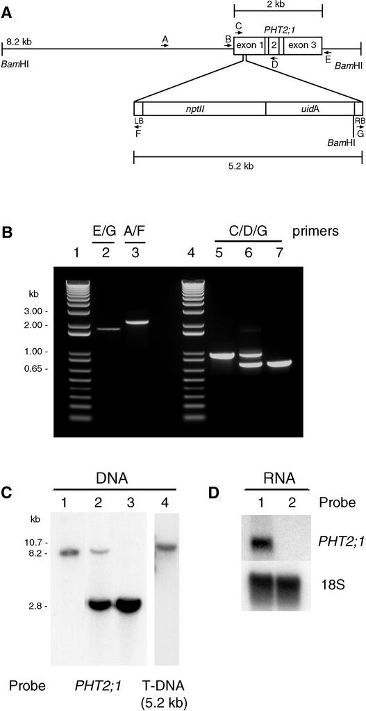 Figure 6.