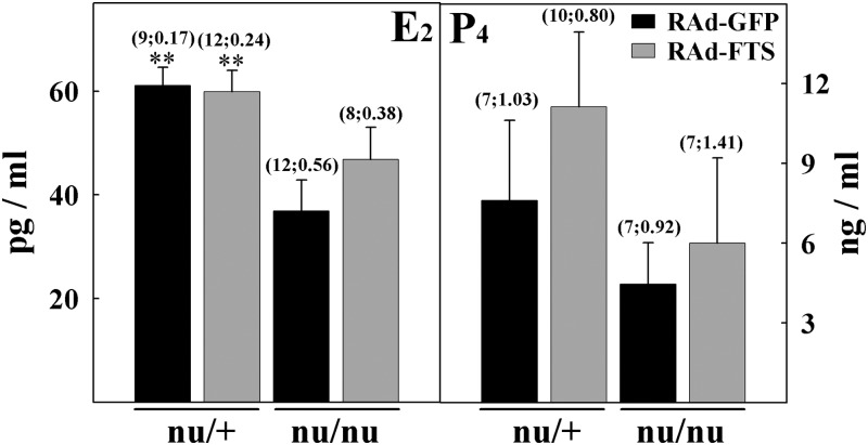 Fig. 5.