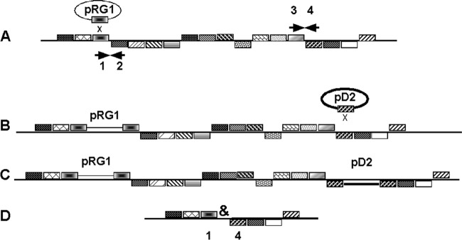 Fig 2