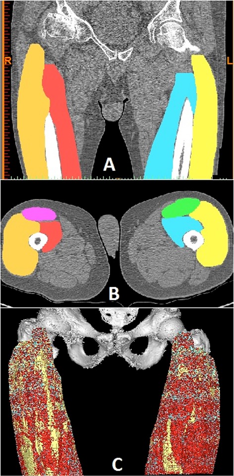 Fig 1.