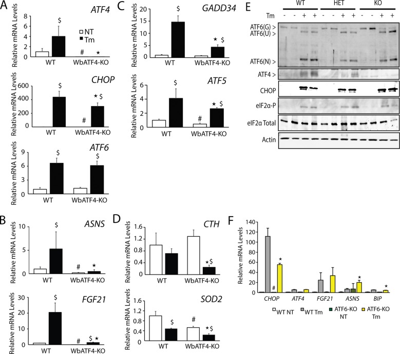 FIGURE 4: