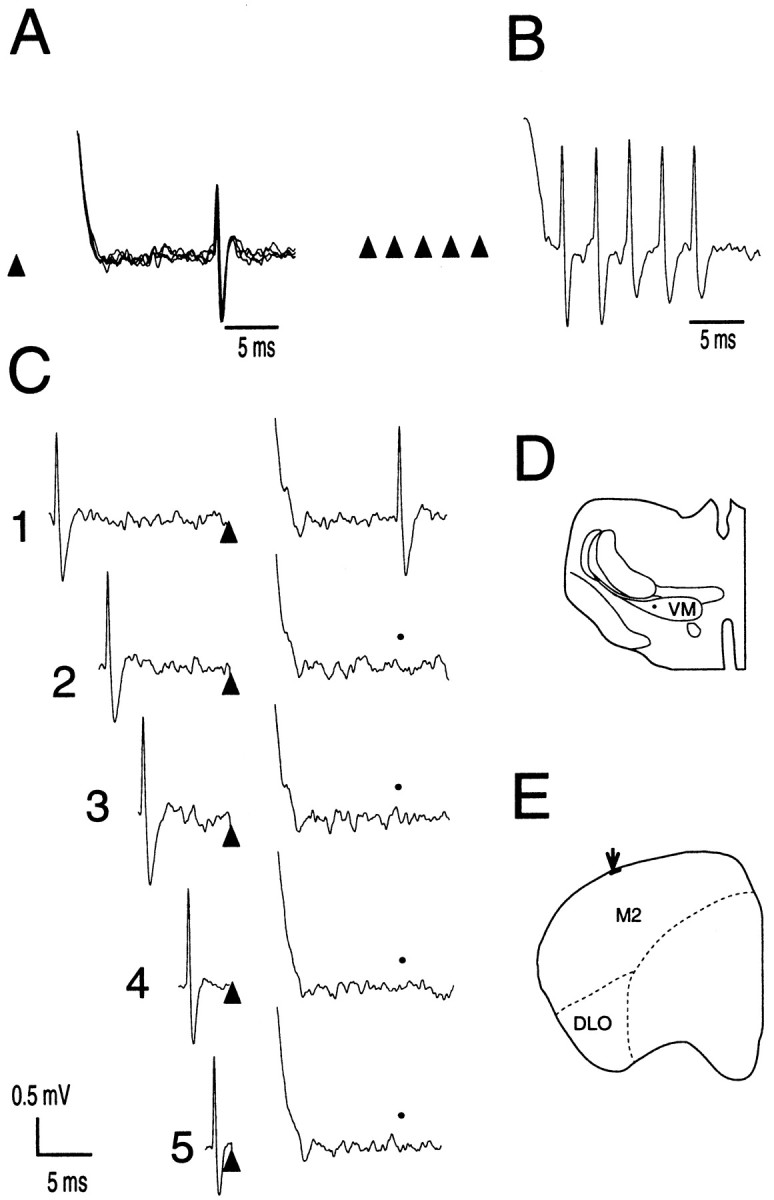 Fig. 11.