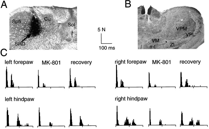 Fig. 6.