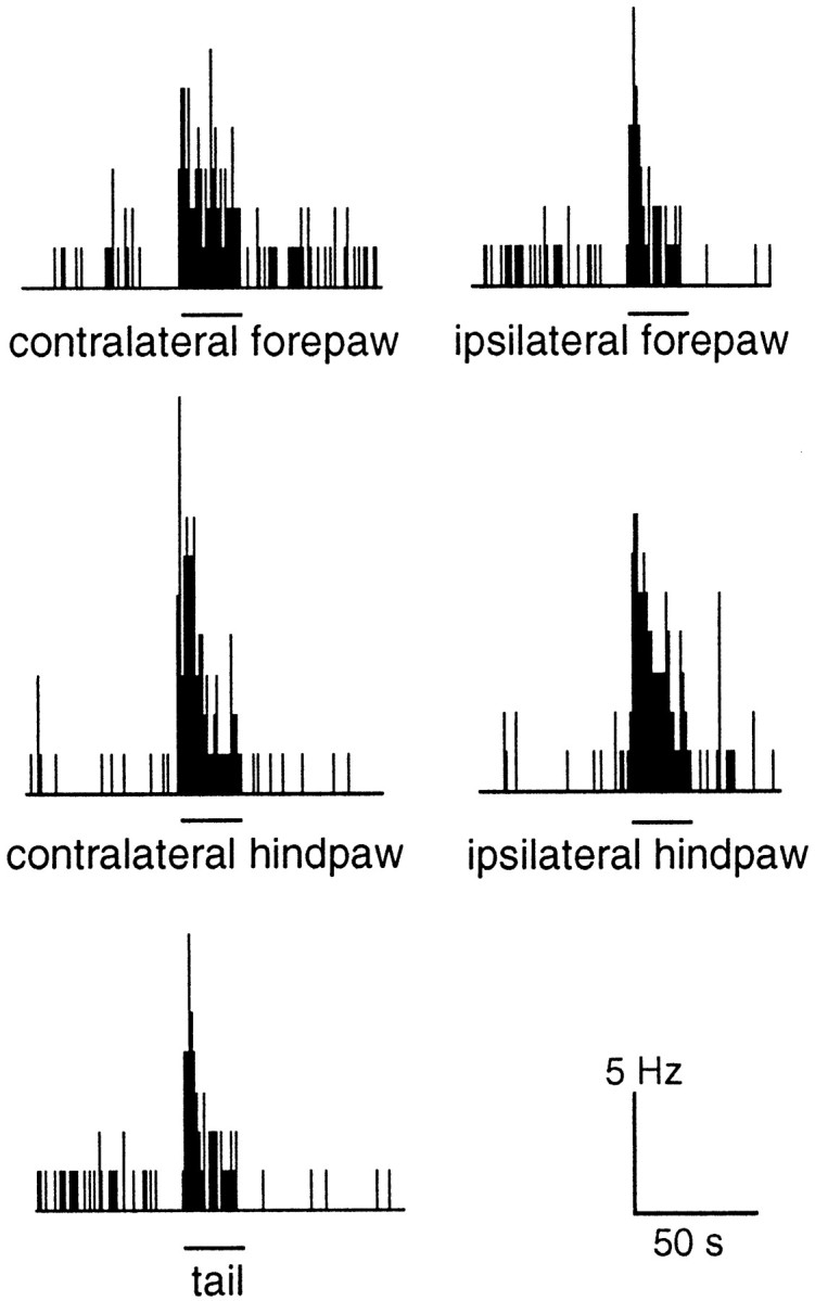 Fig. 9.