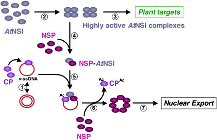 Figure 7.