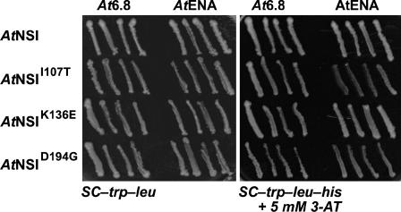 Figure 3.