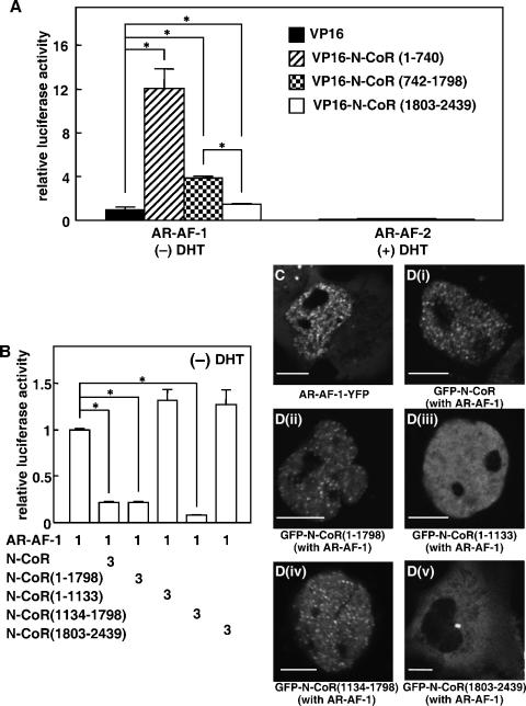 FIG. 11.