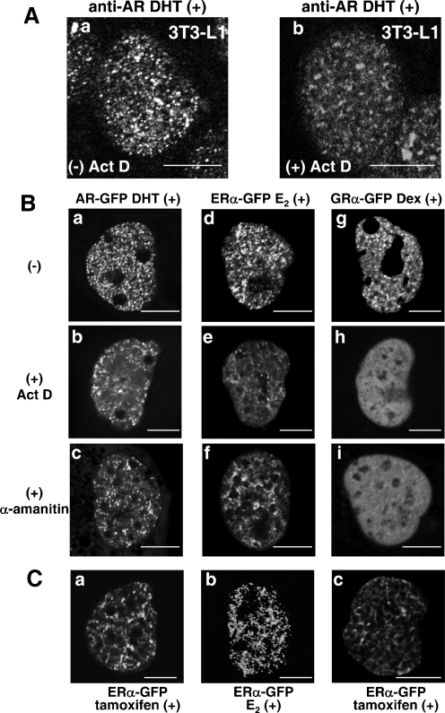 FIG. 8.