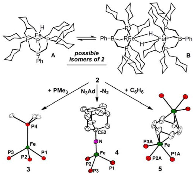 Scheme I