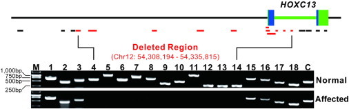 Figure 3