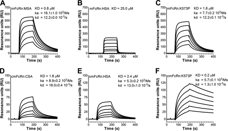 FIGURE 4.