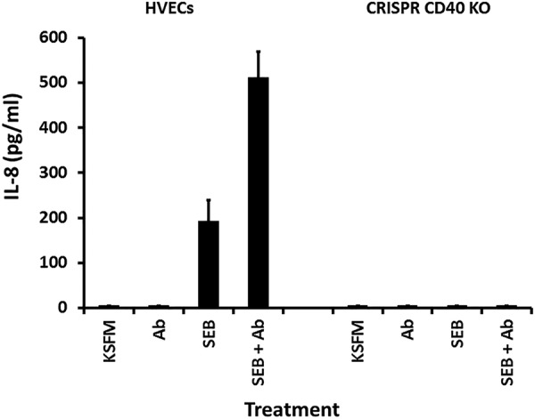 FIG 6