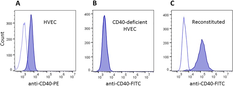 FIG 4