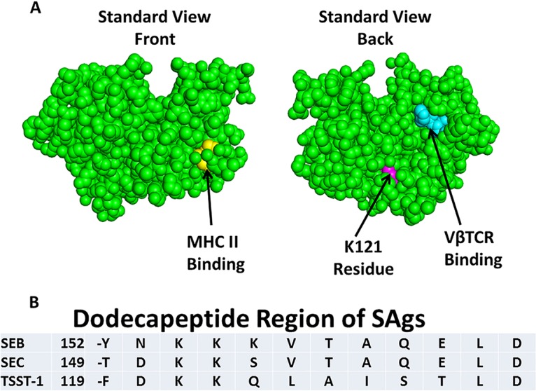 FIG 1