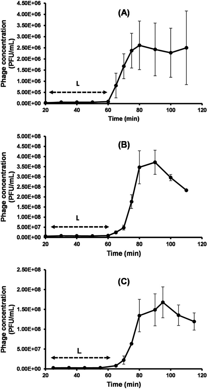 FIG 3