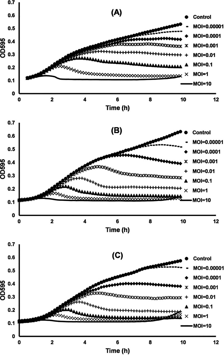 FIG 4