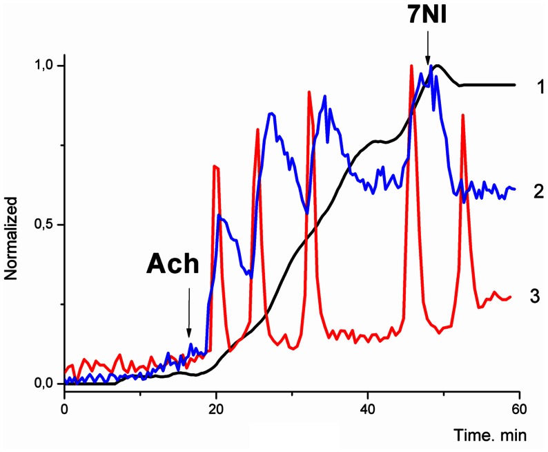 Figure 7