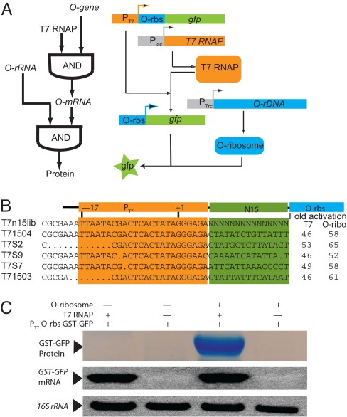 Fig. 2.