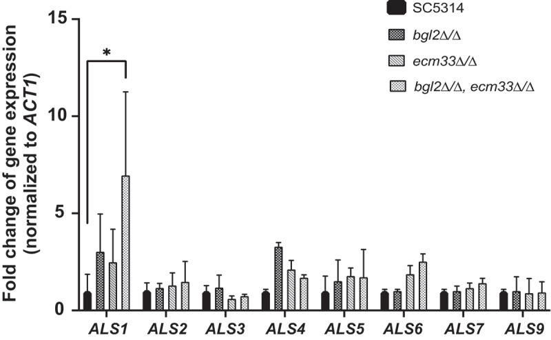 Figure 6.