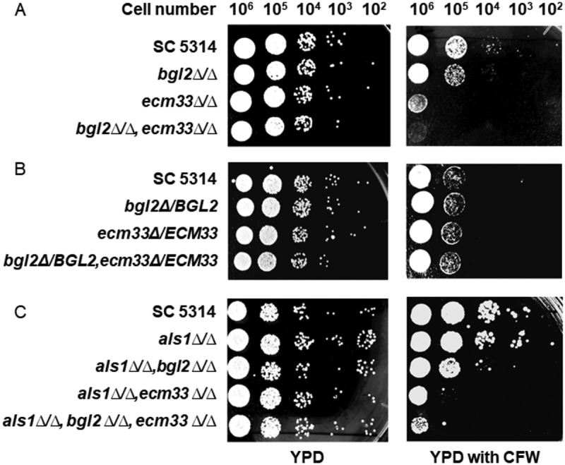 Figure 3.