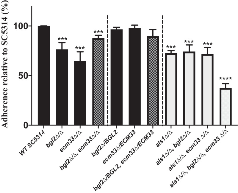 Figure 5.