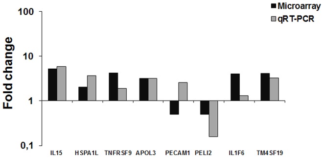 Figure 6