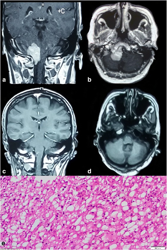 Fig. 5