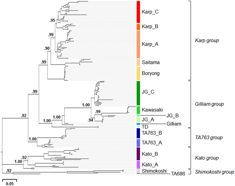 Fig 2